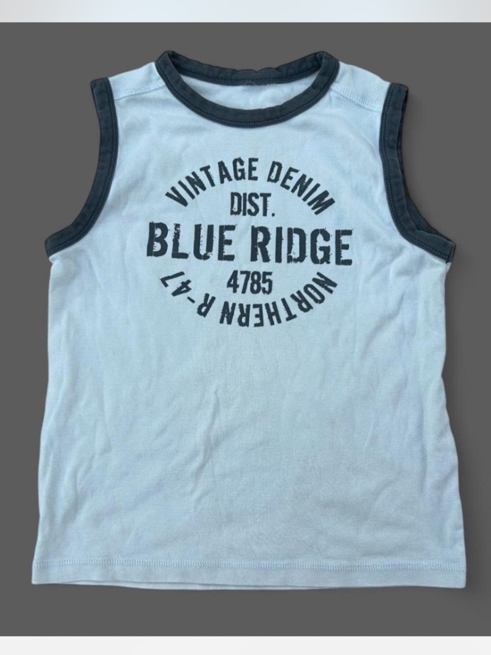 Vintage Denim Blue Ridge White & Navy Tank Top, Y2K Baby Tee Crop Top Streetwear